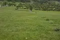 Atterrir  Zabljak, Monténégro