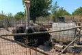 Дом 4 комнаты 100 м² Septemvritsi, Болгария