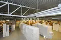 Oficina 1 150 m² en Tornio, Finlandia