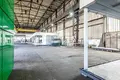 Tienda 2 030 m² en Rogozno, Polonia