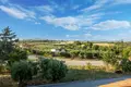 7 bedroom house 300 m² Sozopoli, Greece