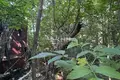 Atterrir 800 m² Sokolskoe, Russie