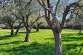 Atterrir  Opcina Marcana, Croatie