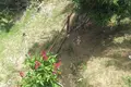 Maison 3 chambres 227 m² Pollytilly Bight, Honduras