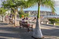 Готовый бизнес 270 м² Арона, Испания