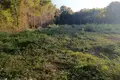 Land , Montenegro