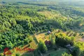 Casa 238 m² Domzarycki sielski Saviet, Belarús
