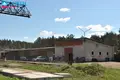 Propiedad comercial 1 753 m² en Masteikiai, Lituania