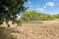 Atterrir 6 000 m² Kalandra, Grèce