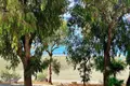 Appartement 3 chambres 148 m² Limassol, Chypre