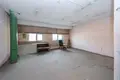 Manufacture 526 m² in Minsk, Belarus
