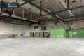Commercial property 563 m² in Alytus, Lithuania