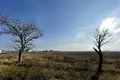 Коммерческое помещение  Одесса, Украина