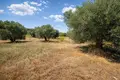 Parcelas 15 000 m² Kassandrino, Grecia
