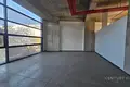 Коммерческое помещение 4 500 м² в Тиране, Албания