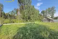 Ferienhaus 335 m² Svislac, Belarus