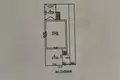 Dom 3 pokoi 250 m² Odessa, Ukraina