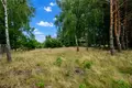 Dom 831 m² Grebow, Polska