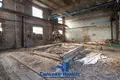Производство 856 м² Приямино, Беларусь