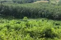 Land  Ban Nam Chuet, Thailand