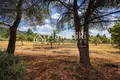 Parcelas 10 000 m² Municipality of Sithonia, Grecia
