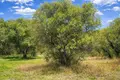 Land 4 067 m² Kassandrino, Greece