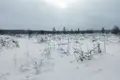 Parcelas 1 000 m² Lapsiha, Rusia