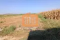 Działki 5 000 m² Bashkia Durres, Albania