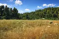Atterrir 18 000 m² Kassandrino, Grèce