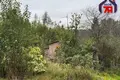 House 29 m² Aliachnovicki sielski Saviet, Belarus