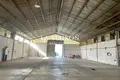 Magazyn 1 600 m² Dali, Cypr