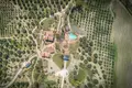 Propiedad comercial 782 m² en Seggiano, Italia