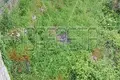3 room house 200 m² Dol, Croatia