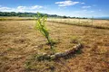 Land 1 811 m² Nea Triglia, Greece