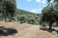 Земельные участки 1 комната 5 568 м² Aristotle Municipality, Греция