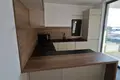 Mieszkanie 3 pokoi  Opcina Dezanovac, Chorwacja
