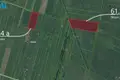 Atterrir  Pamiskiai, Lituanie