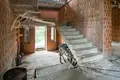 7 room house 363 m² Central Federal District, Russia