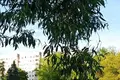 Apartamento 1 habitación 31 m² Minsk, Belarús