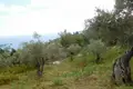 Land 1 room  Tsagkarada, Greece
