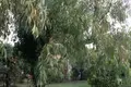 Haus 5 zimmer 150 m² Nea Kallikrateia, Griechenland