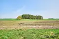 Cottage 199 m² Cnianka, Belarus