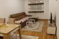 Apartamento 1 habitación 48 m², Montenegro