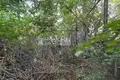 Atterrir 800 m² Sokolskoe, Russie