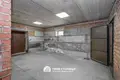 5 room house 391 m² Vialikaje Sciklieva, Belarus