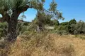 Atterrir 6 662 m² Nikiti, Grèce