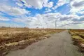 Atterrir  Ramensky District, Russie