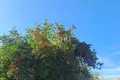 House 86 m² gorodskoj okrug Bor, Russia