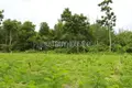Land  Thalang, Thailand