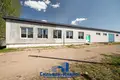 Warehouse 416 m² in Cervien, Belarus